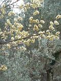 sizilien-mallorca 145